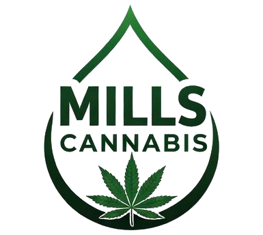 whatsapp image 2026 03 06 at 8.37.46 am (1)