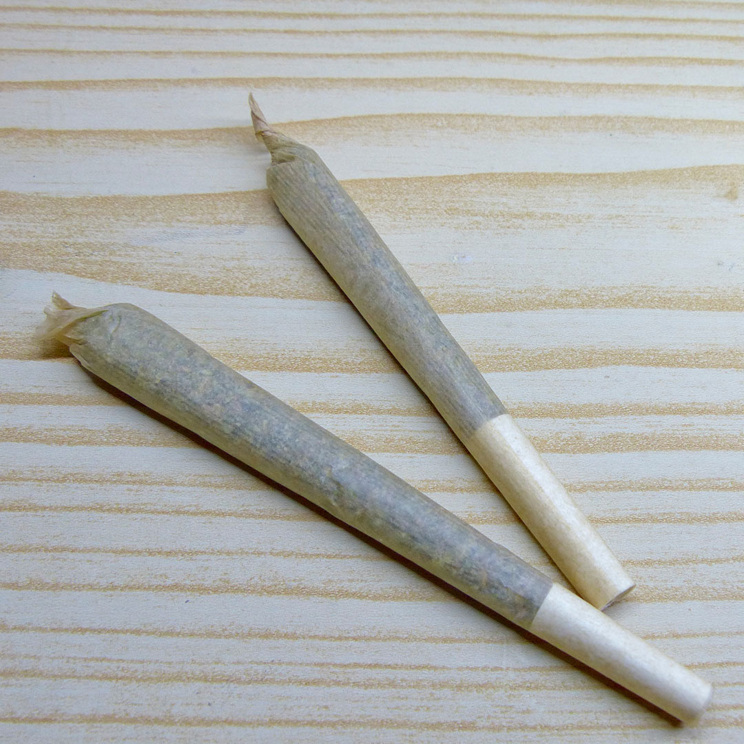 Home everything you need to know about pre rolls blog october 2023